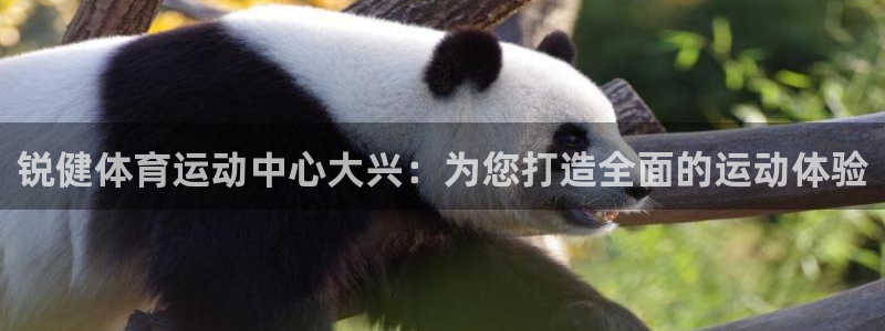betway西汉姆联